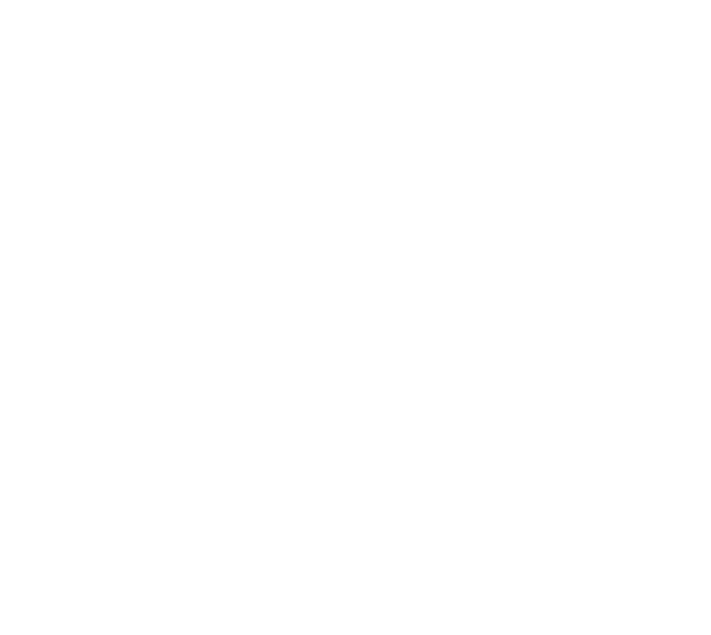 Logo Tim Fox français